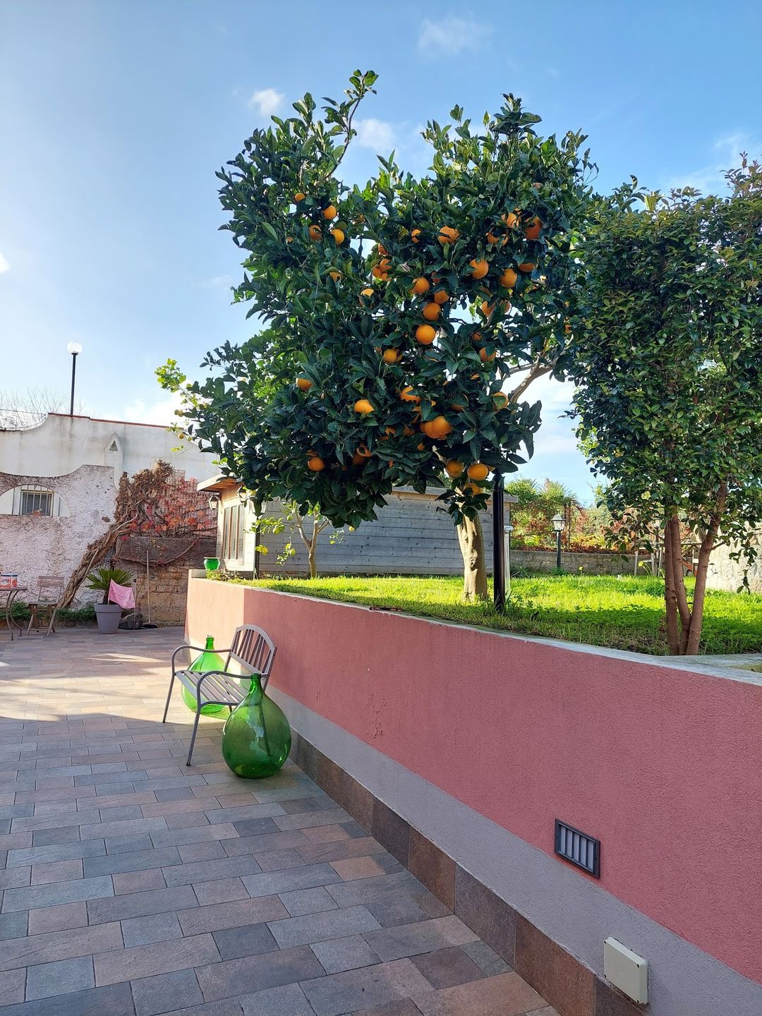 A Mediterranean-style courtyard terrace features a productive orange tree laden with fruit, beside a terracotta-colored wall and rustic seating area.
