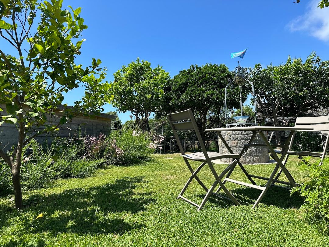A sunny garden seating area with folding chairs and tables surrounded by lush Mediterranean vegetation and mature trees.